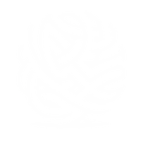 Core Research Identity